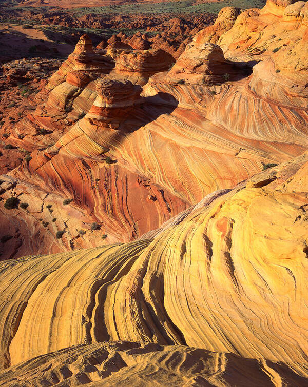 National Park Art Print featuring the photograph Wave after Wave by Ray Mathis