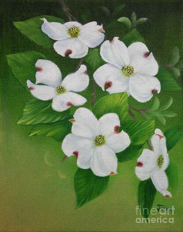 Dogwoods Art Print featuring the painting White Dogwoods by Jimmie Bartlett