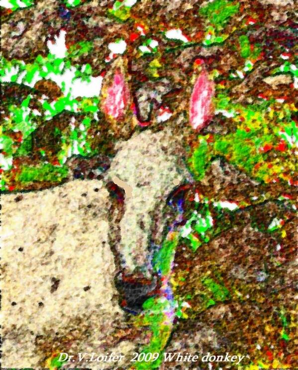 Landscape Art Print featuring the digital art White donkey-owner of hills by Dr Loifer Vladimir