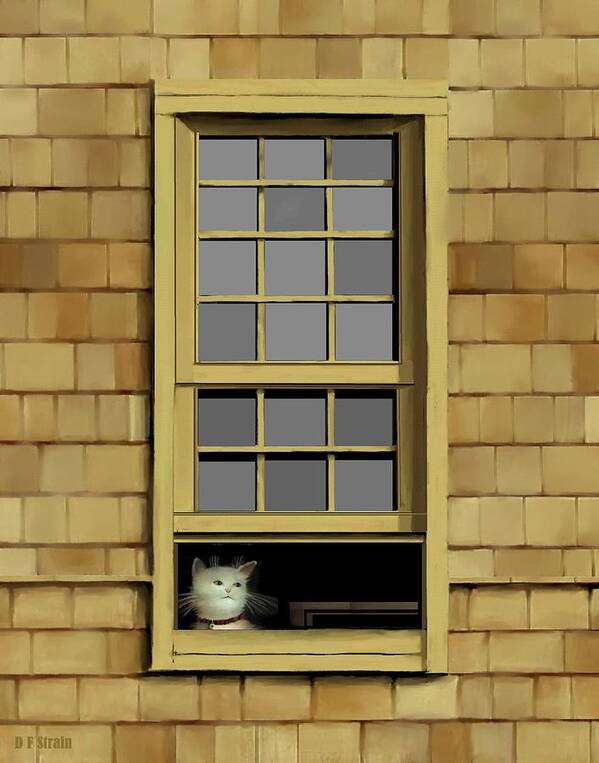 Diane Strain Art Print featuring the painting Window Cat  No.6 by Diane Strain