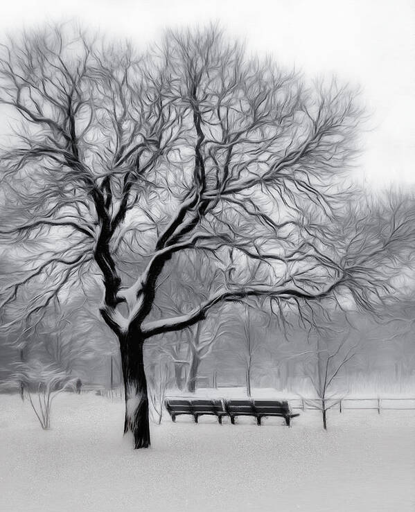 Winter Art Print featuring the digital art Winter in the Park by Nina Bradica
