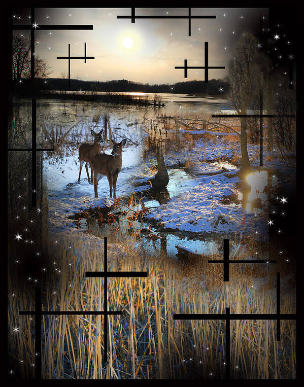  Collage Art Print featuring the photograph Winter Swamp Evening by Andrew Sliwinski