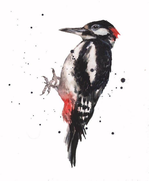 Woodpecker Art Print featuring the painting Wise Woody by Alison Fennell