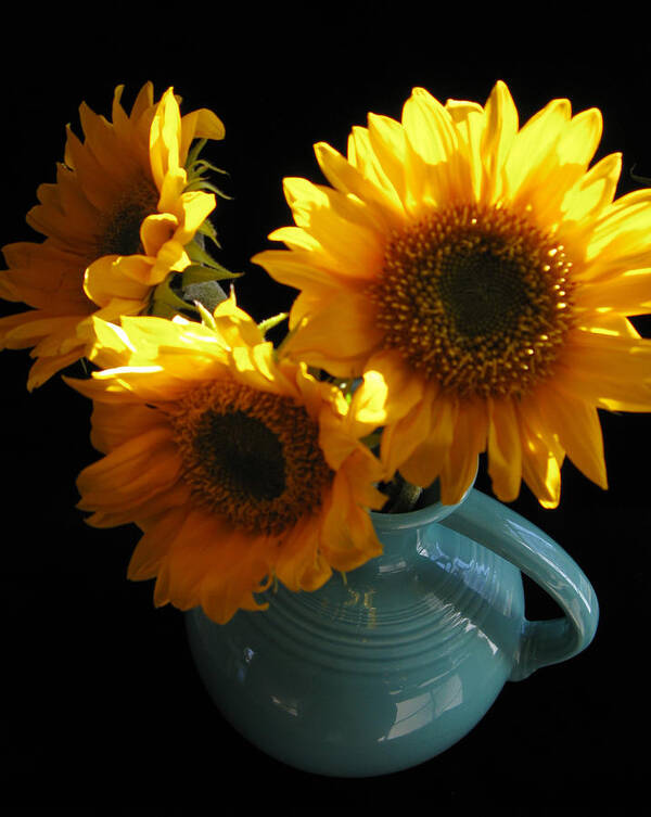 Yellow Art Print featuring the photograph Yellow Flowers in Fiesta Pitcher by Patricia Januszkiewicz