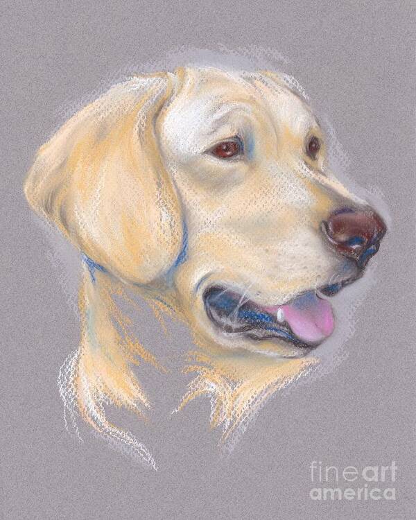 Dog Art Print featuring the pastel Yellow Labrador Retriever Portrait by MM Anderson