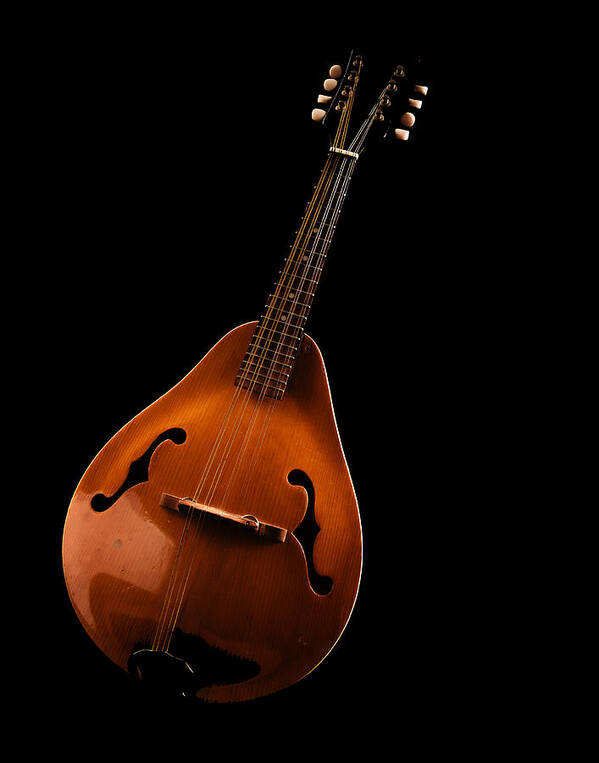 Jean Noren Art Print featuring the photograph Mandolin by Jean Noren