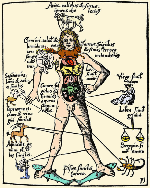 Macrocosm Art Print featuring the photograph 16th-century Medical Astrology by Cordelia Molloy