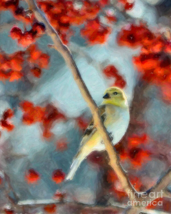 American Goldfinch Art Print featuring the photograph American Goldfinch #3 by Betty LaRue