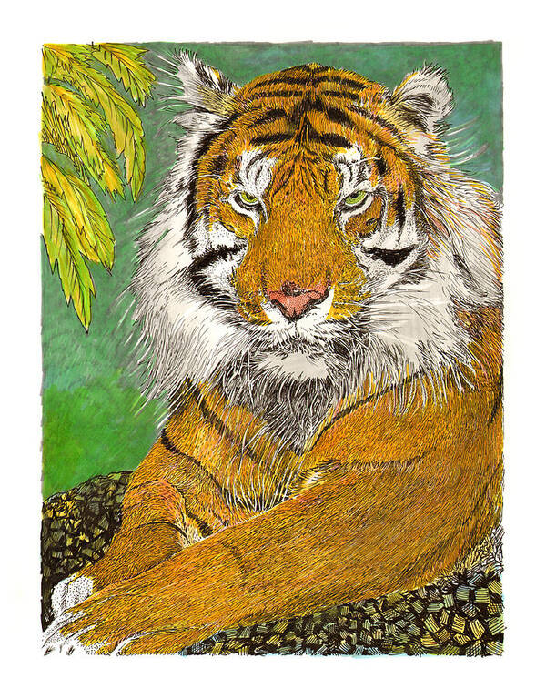 Framed Art Prints Of The Bengal Tiger Art Print featuring the painting Bengal Tiger with green eyes by Jack Pumphrey