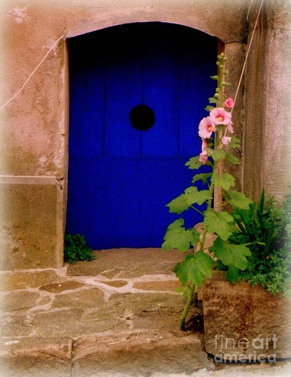 Door Art Print featuring the photograph Blue Door and Pink Hollyhocks by Lainie Wrightson
