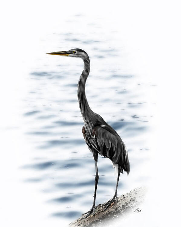 Bird Art Print featuring the digital art Blue Heron by Tatiana Fess