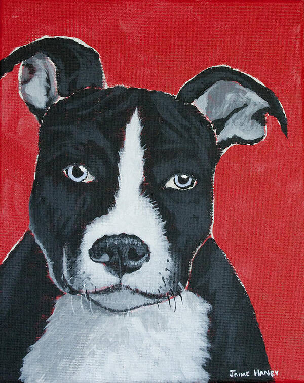 Pit Bull Terrier Art Print featuring the painting Can I go home with you by Jaime Haney