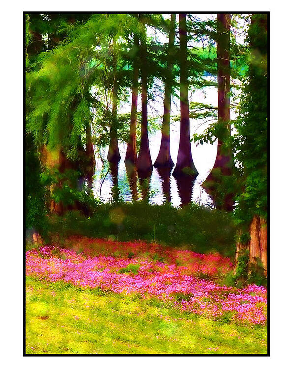 Trees Art Print featuring the photograph Cypress with Oxalis by Judi Bagwell