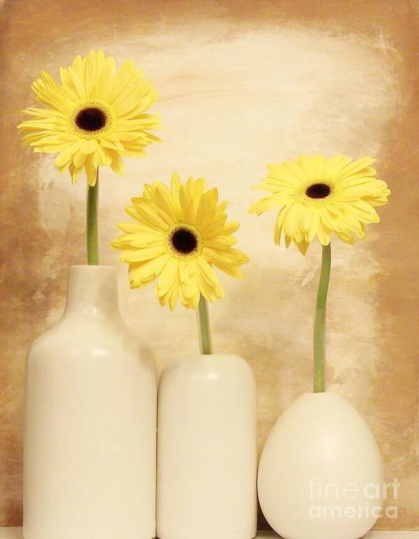 Photo Art Print featuring the photograph Daisies In A Row by Marsha Heiken