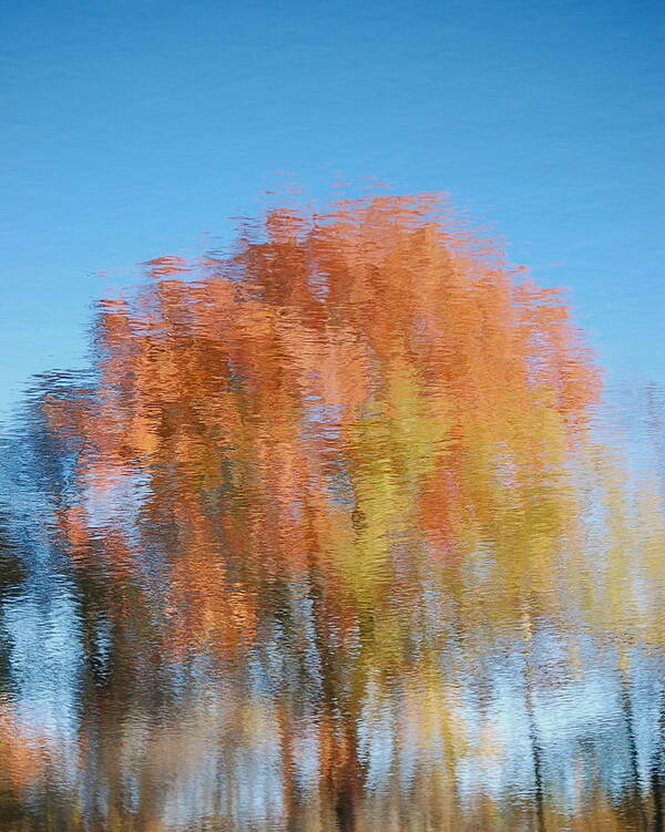 Image Of Fall Colors In Water Reflection Art Print featuring the photograph Fall Watercolor - inverted by Mary McAvoy