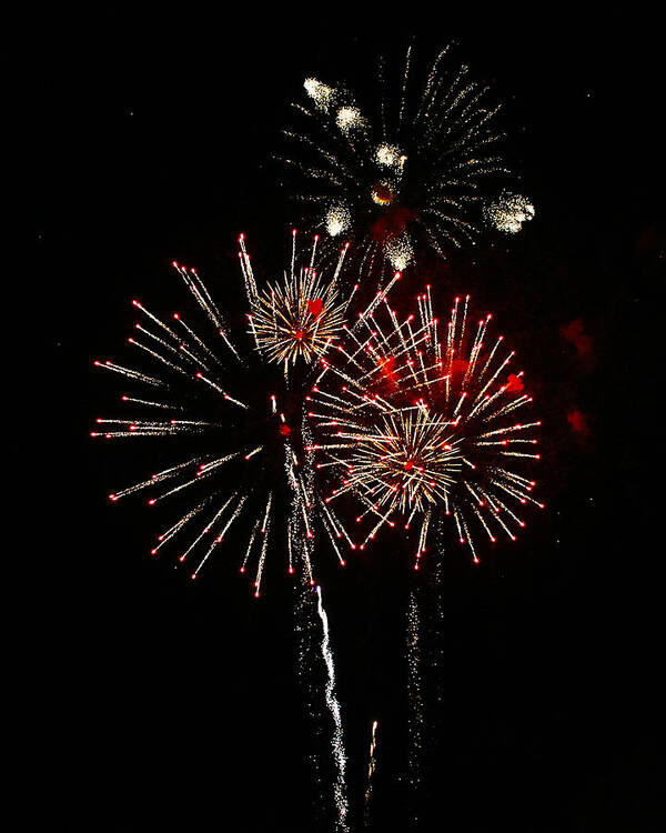 Fireworks Art Print featuring the photograph Fireworks 3 by Tammye Nash