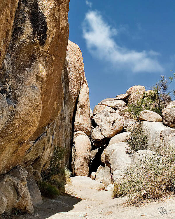 Endre Art Print featuring the photograph Joshua Tree Rocks by Endre Balogh
