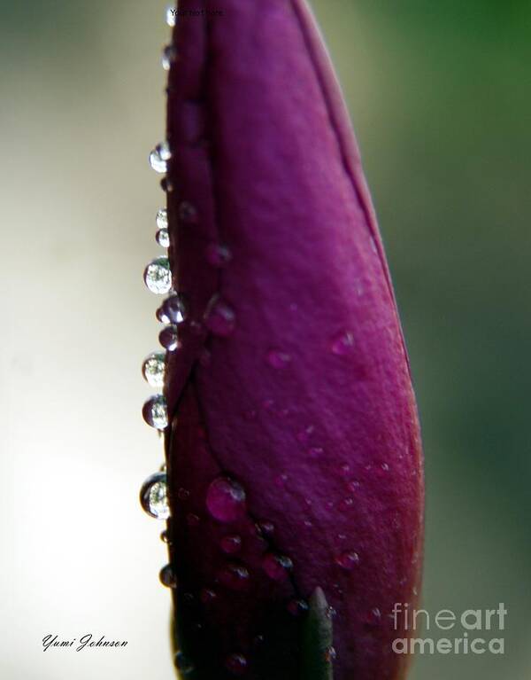 Raindrops Art Print featuring the photograph Line of Droplets by Yumi Johnson