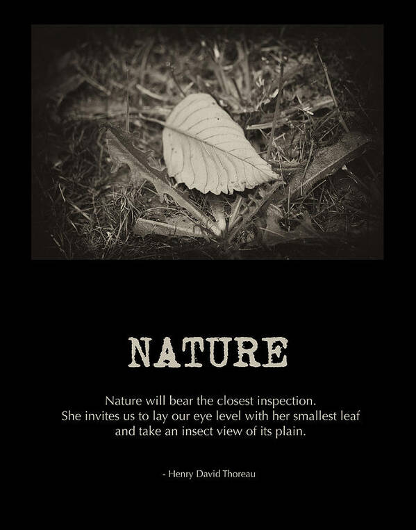 Poster Art Art Print featuring the photograph Nature by Bonnie Bruno
