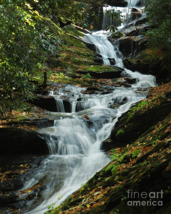 Waterfall Art Print featuring the photograph Roaring Fork Falls by Deborah Smith