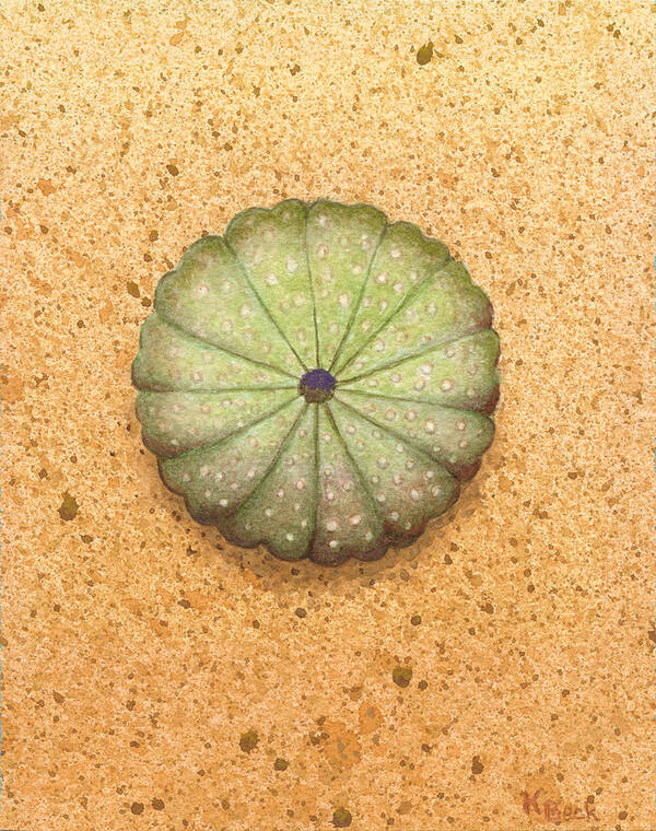 Print Art Print featuring the painting Sea Urchin by Katherine Young-Beck