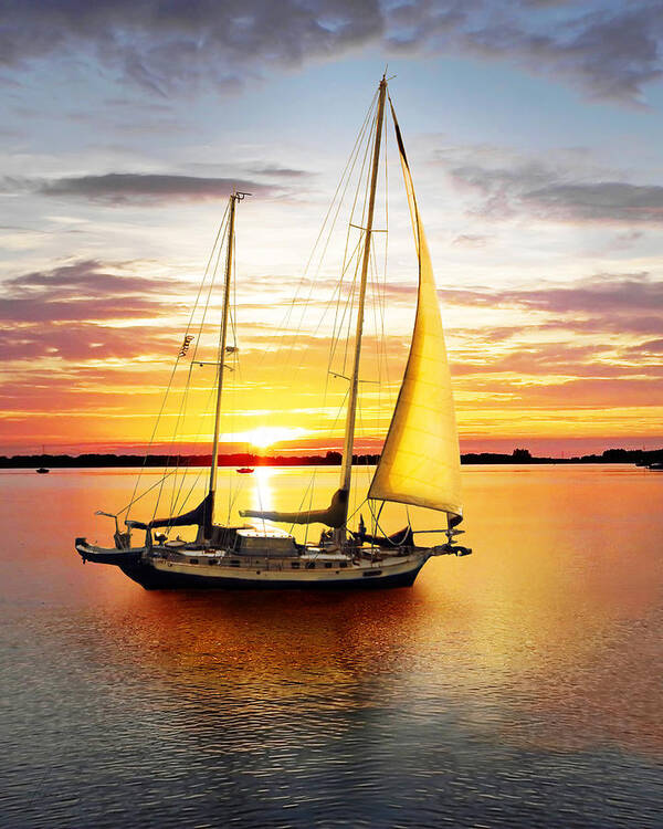 Sun Art Print featuring the photograph Setting Sail by Frances Miller