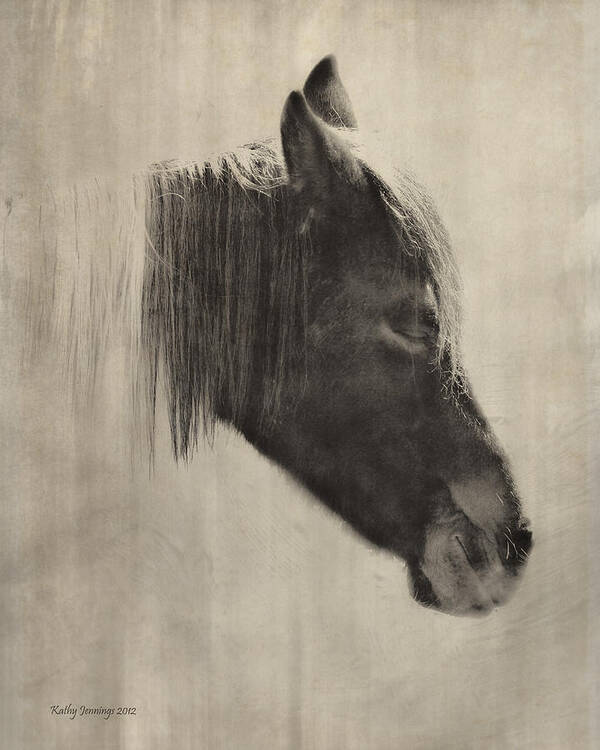 Horse Art Print featuring the photograph Sleepyhead by Kathy Jennings