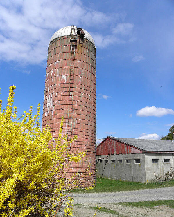 Farm Landscape Art Print featuring the photograph Spring Time Back In Time by Kim Galluzzo