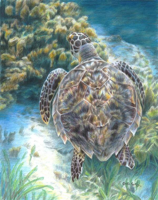 Reptile Art Print featuring the painting Swimming Turtle by Carla Kurt