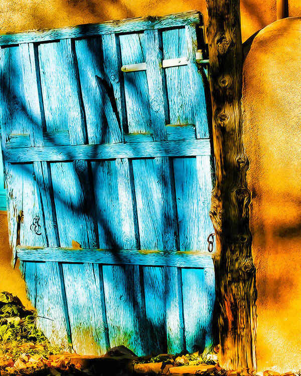 Door Art Print featuring the photograph The Old Blue Door by Terry Fiala