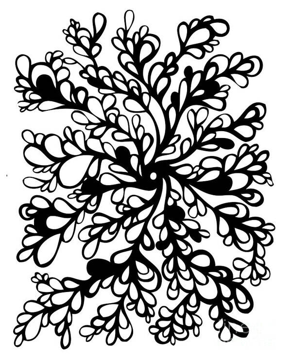 Illustration Art Print featuring the drawing Vines by HD Connelly