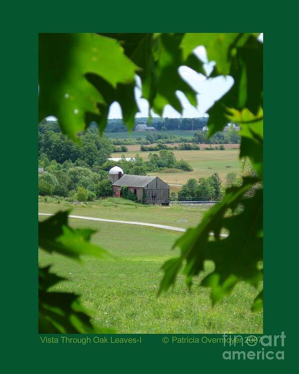 Landscape Art Print featuring the photograph Vista Through Oak Leaves-I by Patricia Overmoyer