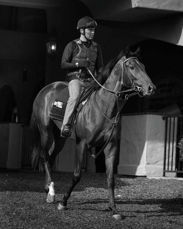 Del Mar Art Print featuring the photograph Del Mar Paddock by Dusty Wynne