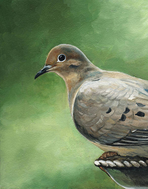 Bird Art Print featuring the painting Mourning Dove #1 by Charlotte Yealey