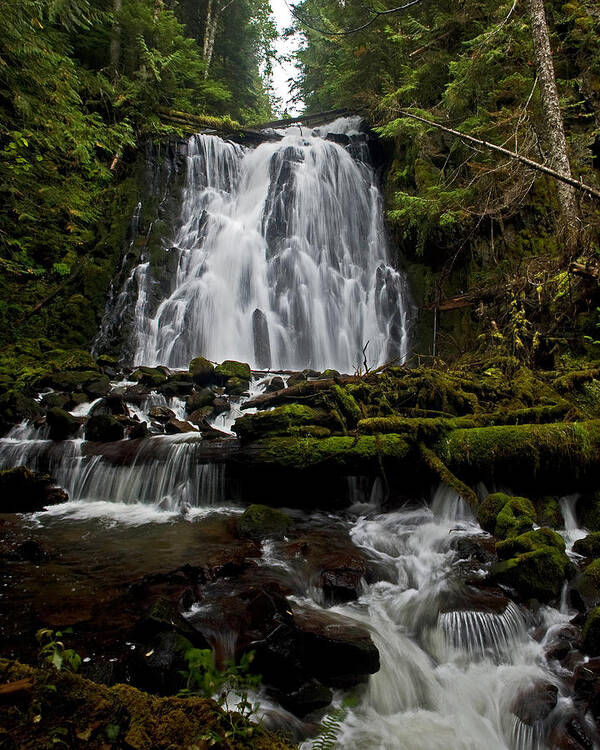 Waterfalls Art Print featuring the photograph Yocum Falls Oregon #1 by Ulrich Burkhalter