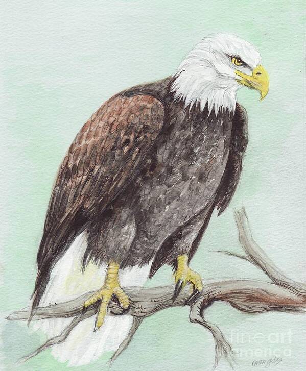 America Art Print featuring the painting Bald Eagle #2 by Morgan Fitzsimons