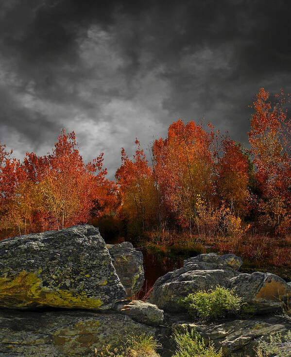 Landscape Art Print featuring the photograph 4004 by Peter Holme III