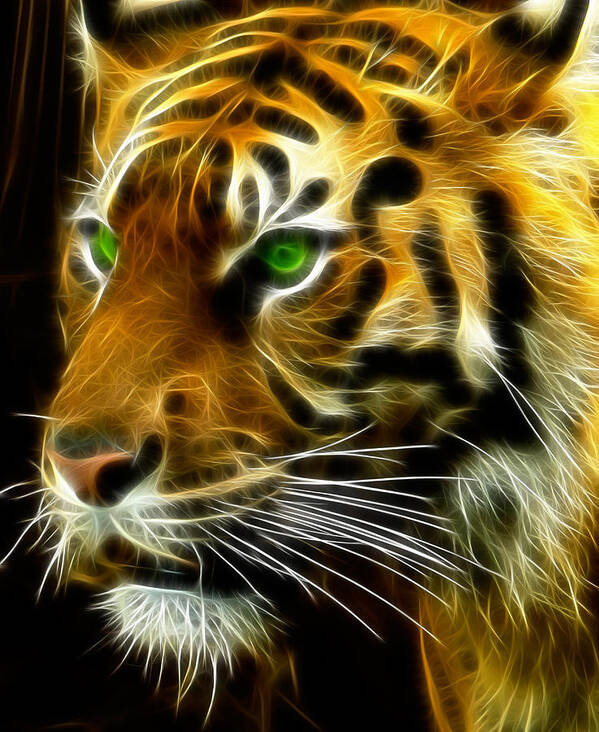 Bengal Art Print featuring the photograph A Tiger's Stare by Ricky Barnard