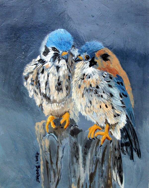 Birds Art Print featuring the painting American Kestrels by Tami Booher