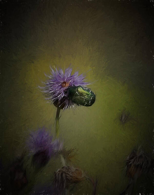 Mood Art Print featuring the photograph Artistic Two beetles on a thistle flower by Leif Sohlman