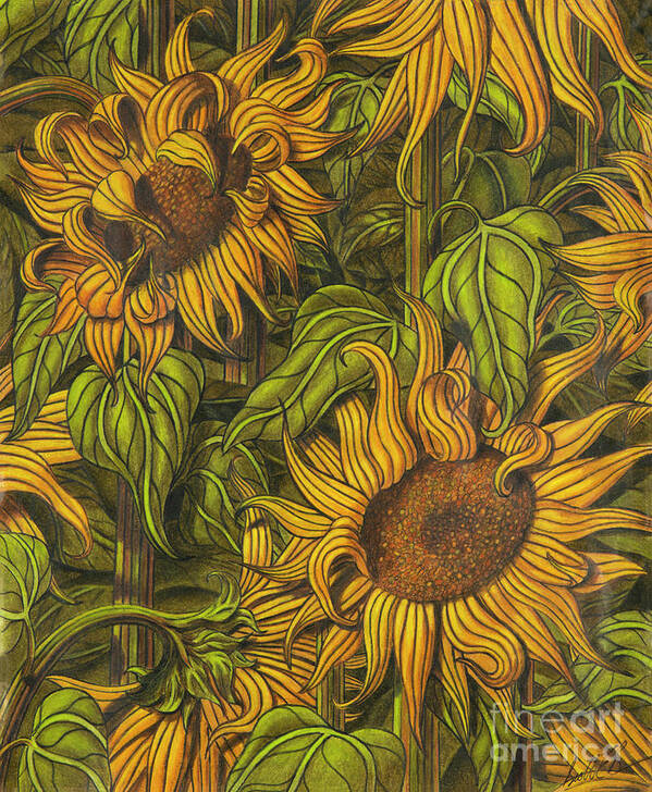 Impressionism Art Print featuring the drawing Autumn Suns by Scott Brennan