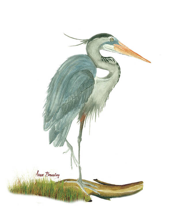 Blue Heron Art Print featuring the painting Blue Heron by Anne Beverley-Stamps