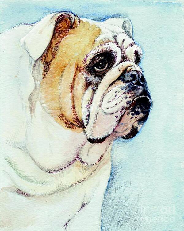British Art Print featuring the painting British Bulldog by Morgan Fitzsimons