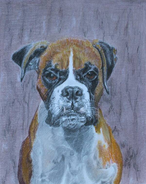 Boxer Art Print featuring the drawing Bruce by Vera Smith