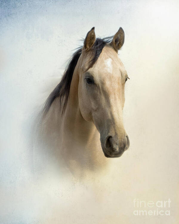 Horse Art Print featuring the photograph Buckskin Beauty by Betty LaRue