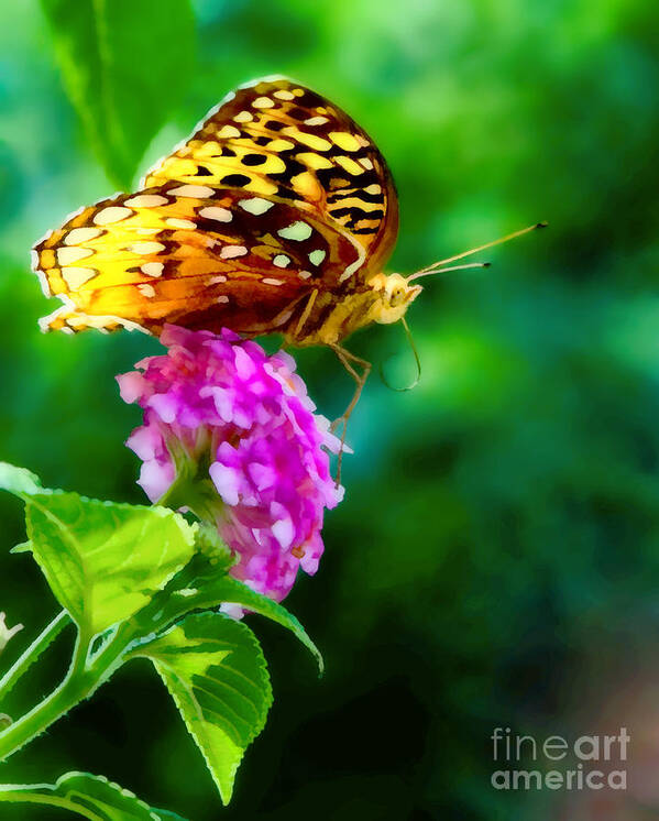 Butterfly; Flower; Pink; Pink Flower; Lantana; Pink Lantana; Nature; Nature Pictures; Butterfly Pictures; Butterfly Pictures; Digital Art; Nature Digital Art; Butterfly Digital Art; Flower Digital Art; Closeup; Colorful; Contrasting Colors; Greens; Yellows; Pinks; Oranges; No People; Butterfly Art Art Print featuring the digital art Butterfly Landing by Sherry Curry