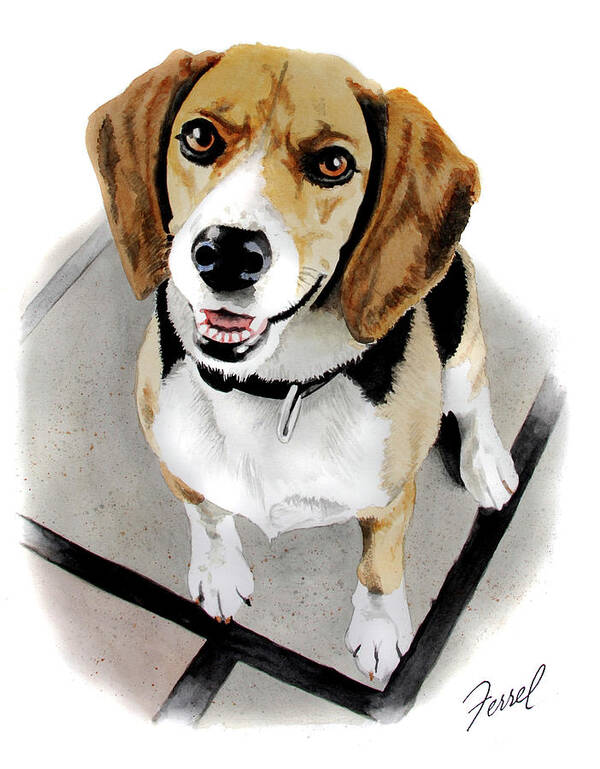 Dog Art Print featuring the painting Canine Cutie by Ferrel Cordle