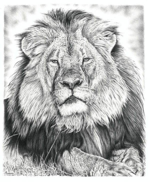 Cecil The Lion Art Print featuring the drawing Cecil The Lion by Casey 'Remrov' Vormer