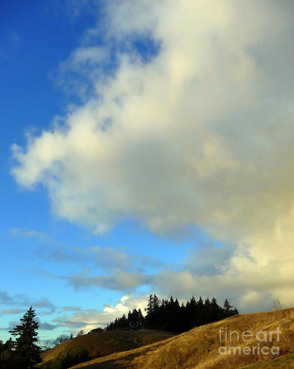 Clouds Art Print featuring the photograph Change in the Air by JoAnn SkyWatcher