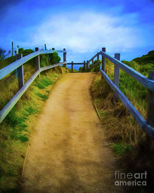 Path Art Print featuring the photograph Coast Path by Perry Webster